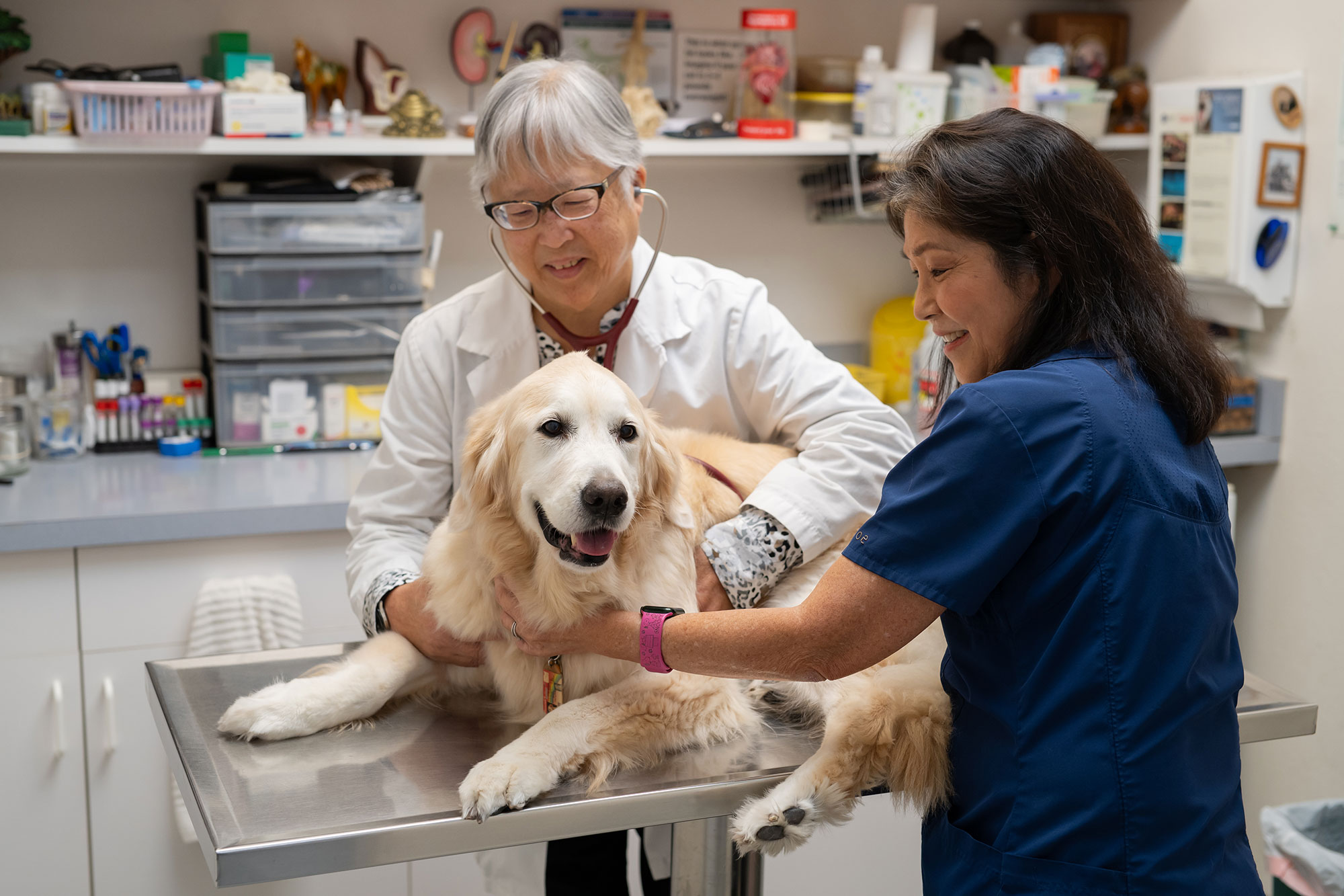 veterinary services  Honolulu, HI 