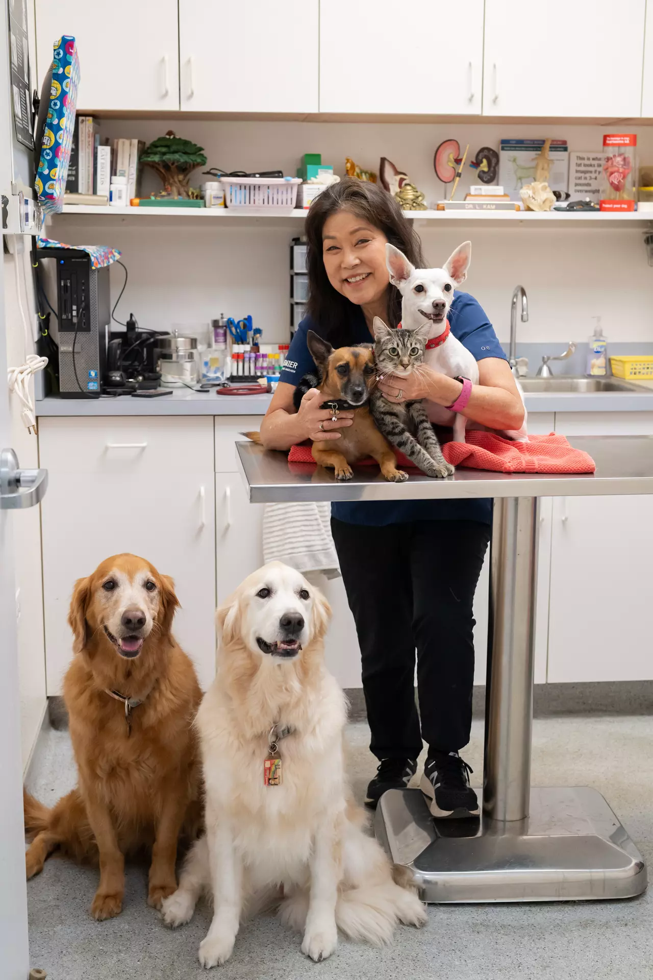 new clients welcome  Honolulu, HI